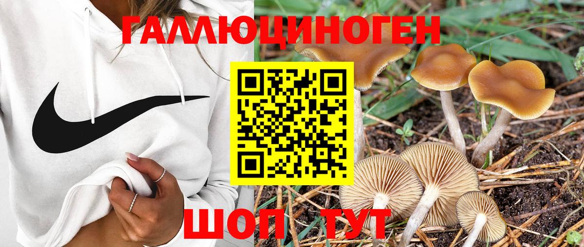 Псилоцибиновые грибы MAGIC MUSHROOMS Отрадный
